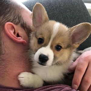 Meet your Posher, Elie